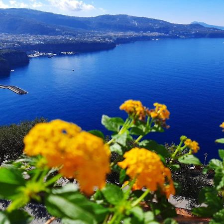 Bella Vista House-Sorrento Coast - Free Parking-Solarium Διαμέρισμα Vico Equense Εξωτερικό φωτογραφία