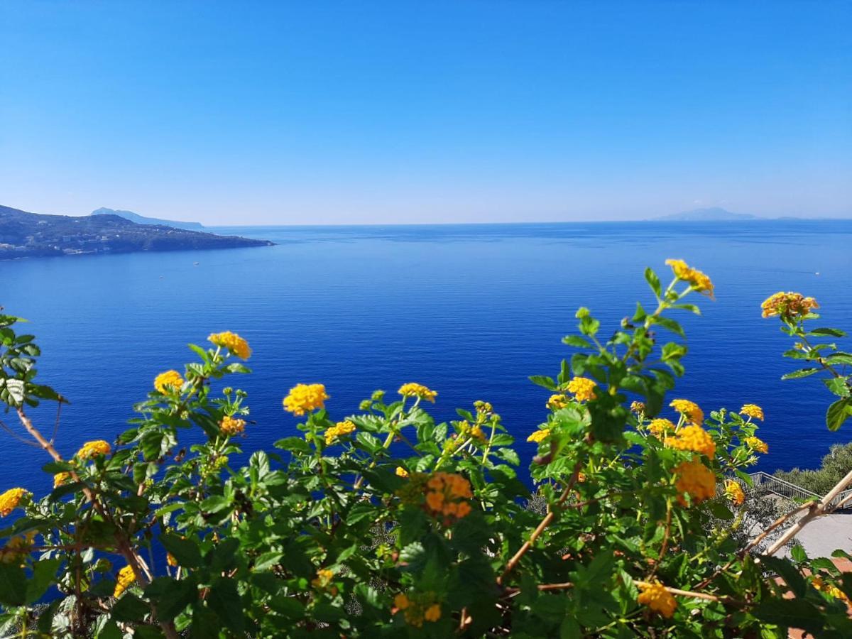 Bella Vista House-Sorrento Coast - Free Parking-Solarium Διαμέρισμα Vico Equense Εξωτερικό φωτογραφία