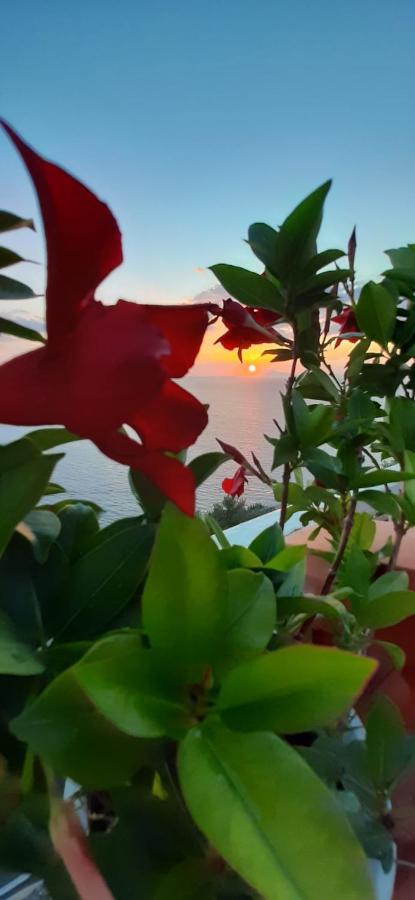 Bella Vista House-Sorrento Coast - Free Parking-Solarium Διαμέρισμα Vico Equense Εξωτερικό φωτογραφία