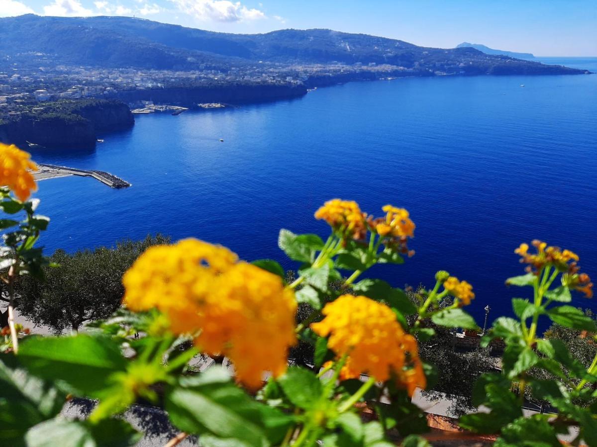 Bella Vista House-Sorrento Coast - Free Parking-Solarium Διαμέρισμα Vico Equense Εξωτερικό φωτογραφία